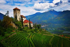 Lebenberg Castle Southtyrol | Italia | Wein-Image.de