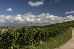 Wolken und Weinberge / Clouds and vineyards, Schliengen (Germany)