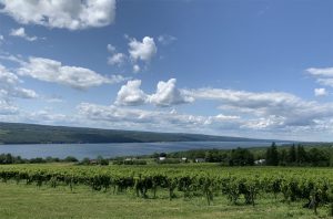 Finger Lakes sparkling wines