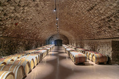 Barrels in Castel Mimi cellar