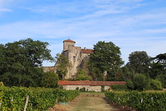 Château de Pouypardin