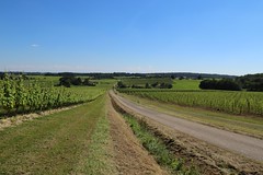 La route des vins dans le Gers