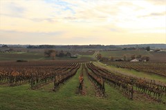 Le Gers, région de vin et d'Armagnac