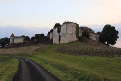 Le château de Pardailhan en hiver