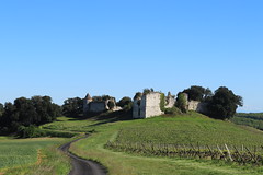 Le château de Pardailhan