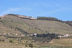 Pesinho - Covas do Douro - Sabrosa