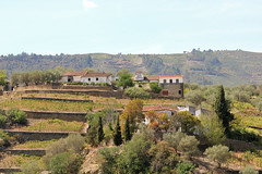 Quinta das Sopas - Covas do Douro - Sabrosa