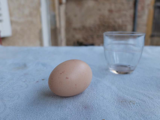 3julie_balagny_wine_farm_egg