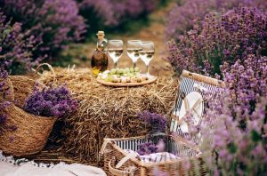 Picnic baskets and wine outdoors