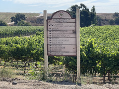 Foxen Canyon Wine Trail