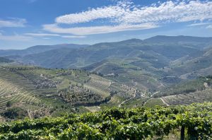 Douro-Valley,-Portugal