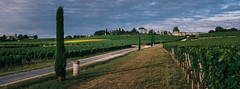 Perspective to castle Berliquet and windmill - 65x24 pano