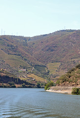 Rio Douro - Folgosa - Armamar