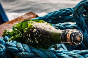 Exton Park's 2014 Blanc de Blanc sea-aged English sparkling wine covered in barnacles