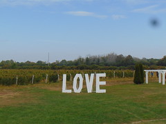 LOVE (for wine)