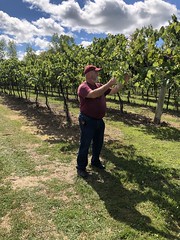 Owner of Smokey Ridge Vineyards explains the process of growing grapes