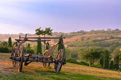 Purcari Winery. Cart