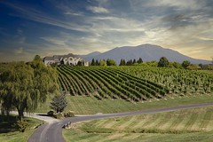 CrossKeys Winery and Vineyards. Mt. Crawford, Virginia