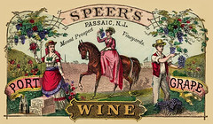 New Jersey Wine -- about 1880
