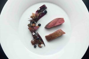 Carafe - Wild duck, fermented blueberry, red beet, sakura, young pine cone