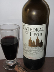 Catedral de León. Vinos de León. España