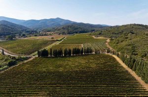 Maremma Toscana DOC wine region in Italy