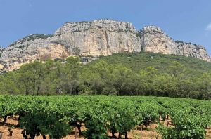 rediscover Languedoc