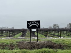 Beckstoffer Hopland Ranch Vineyard