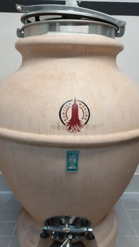 Falanghina del Sannio in amphora