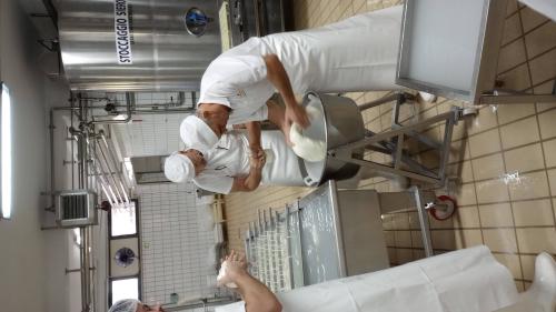 Mozzarella making in Sannio