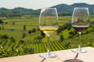 Glass of red and white wine against vineyard landscape