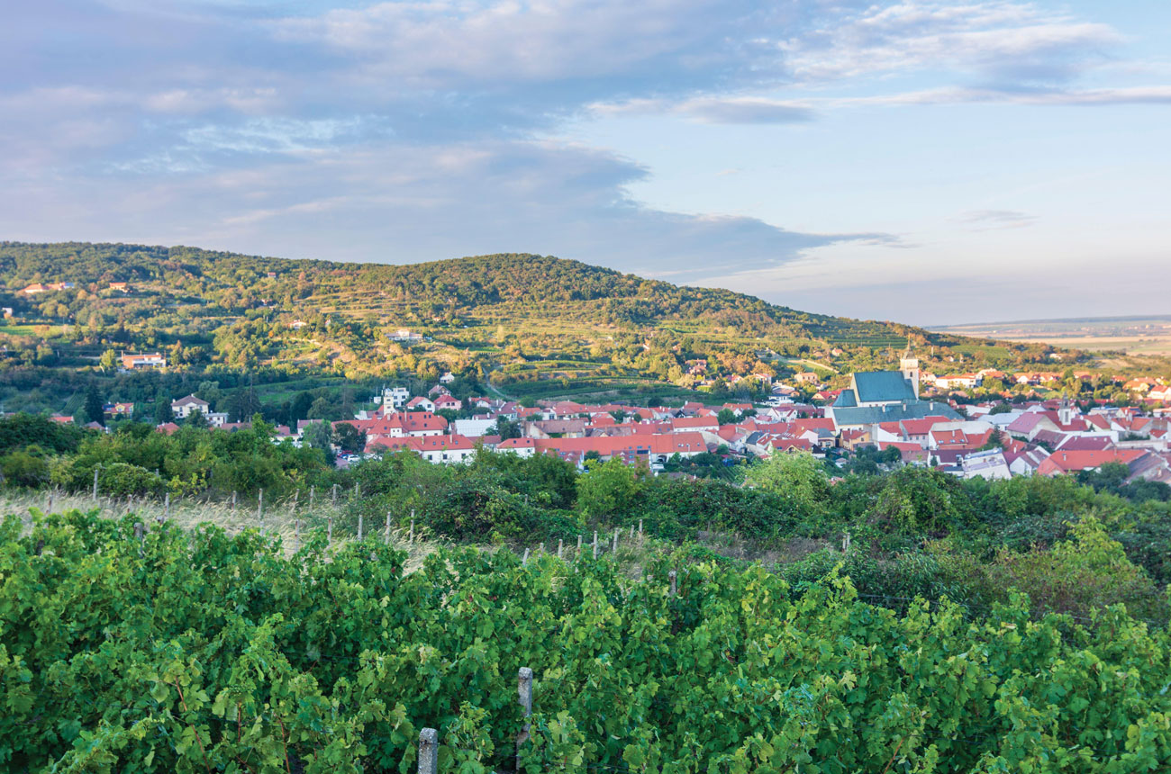 The historical wine town of Svätý Jur, near Bratislava, seen from surrounding vineyards in the foothills of the Small Carpathians