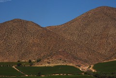 Elqui Valley