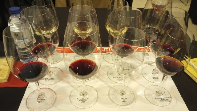 The Icon/Premium Portuguese tasting lineup from WF `23