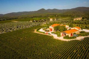 Aerial shot of Campo alla Sughera winery in Bolgheri DOC, Tuscany, Italy