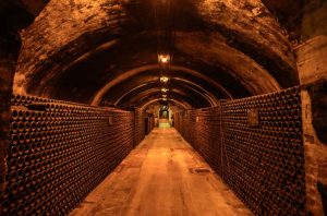 image of champagne bottles in the cellar at Bollinger