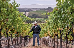 Lee Hudson among the vines on the Hudson Ranch estate in Carneros, California
