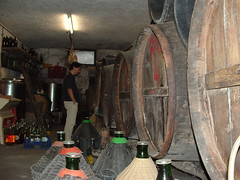 L' Arte del Vino - Montecompatri Lazio - Italy