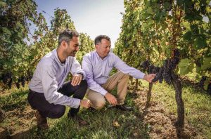 Chateau La Garde's global brand director, Valentin Jestin and chief winemaker, Frédéric Bonnaffous in vineyards
