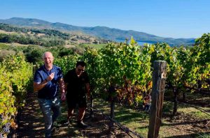 Jayson Hu and Benoit Touquette walking in one of Fairest Creature Napa Valley vineyards.