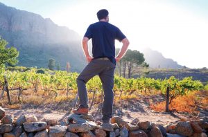Man looking over vineyard