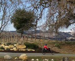Templeton Wine Country