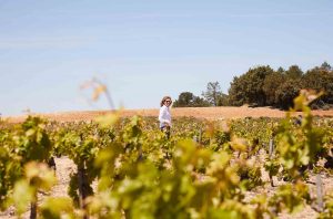 Family-owned Bodega Frontaura in DO Toro