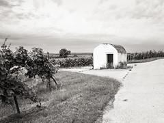 Auf der Suche nach Trulli