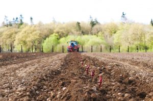 The new Danbury Ridge site near Canewdon in Essex.