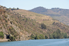 Linha do Douro em Canelas - Peso da Régua