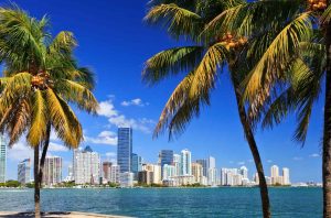 image of Miami city skyline with palm trees