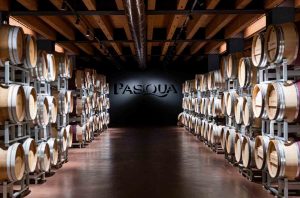 Pasqua winery cellars in Spain