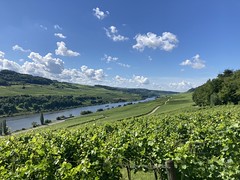 Paysages d'été au Luxembourg