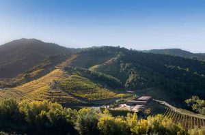 Perinet winery in Priorat, Spain